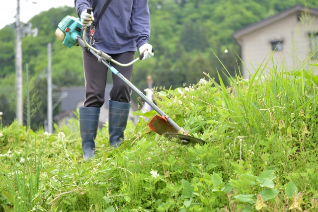 大田原市で草刈りに最適な年3回の時期～楽に草刈りを終えるコツまで徹底解説
