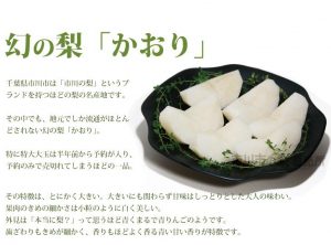 幻とよばれる梨「かおり」