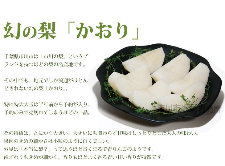 【限定3名さま】幻とよばれる梨「かおり」
