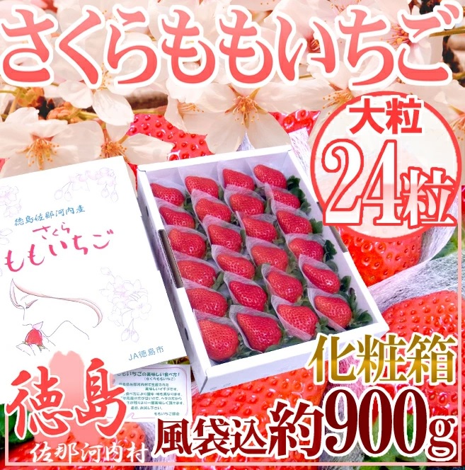 【限定3名さま】佐那河内産 さくらももいちご