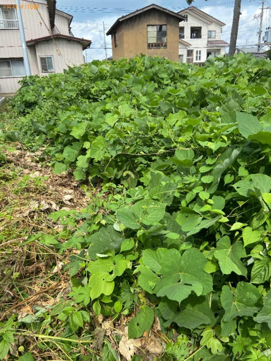 草刈り作業ご依頼　お客様の声