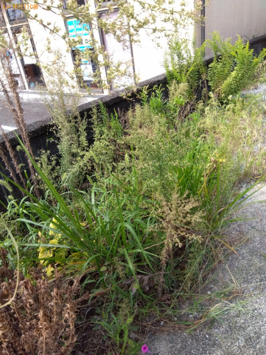 草抜き作業ご依頼　お客様の声