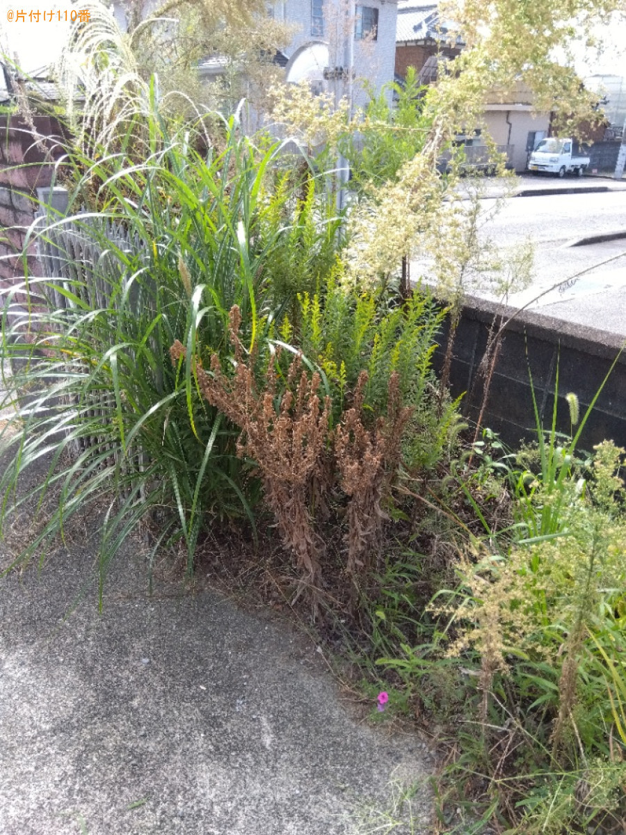 草抜き作業ご依頼　お客様の声